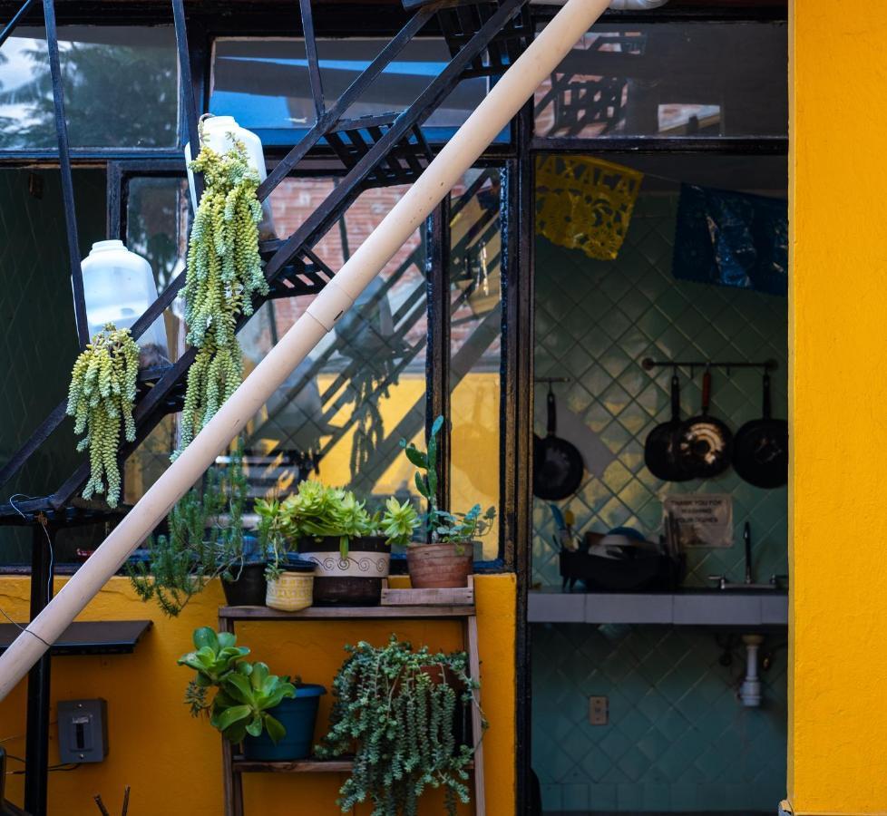 Hostal Pochon Oaxaca Extérieur photo