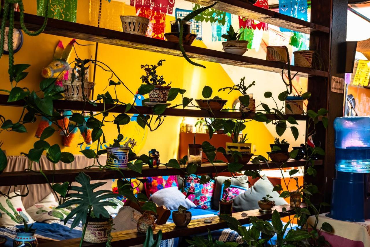 Hostal Pochon Oaxaca Extérieur photo